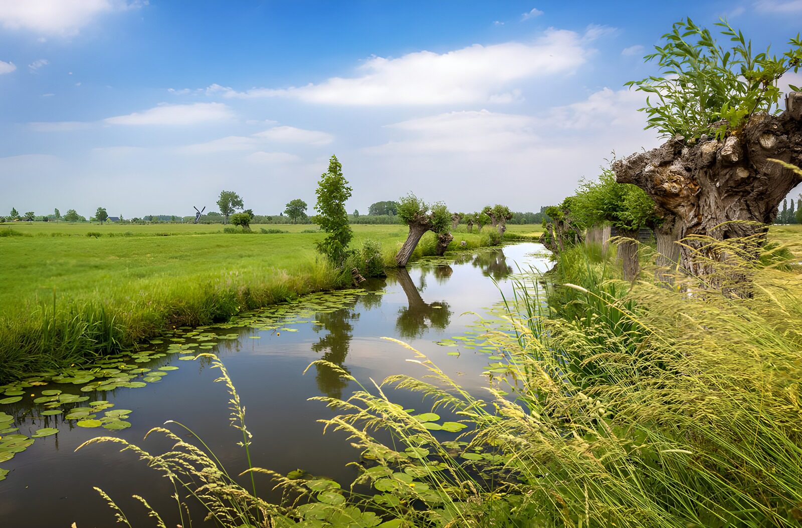 OCUK36972: Tranquil Riverbank Reflection