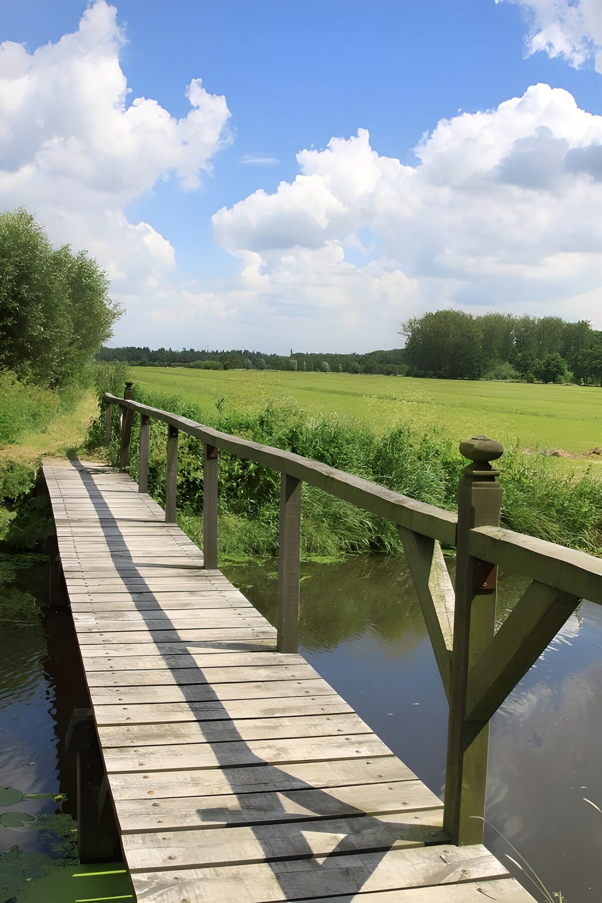 Wooden bridge above a ditch with meadow view