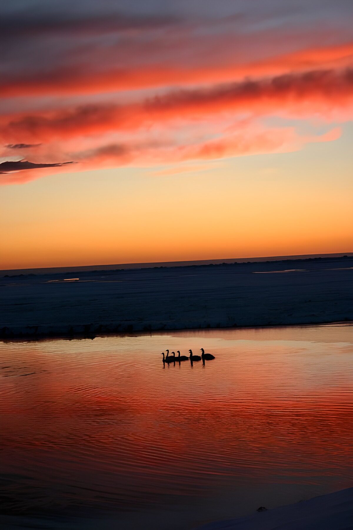 OCUK72872: Serene Sunset Over Still Waters