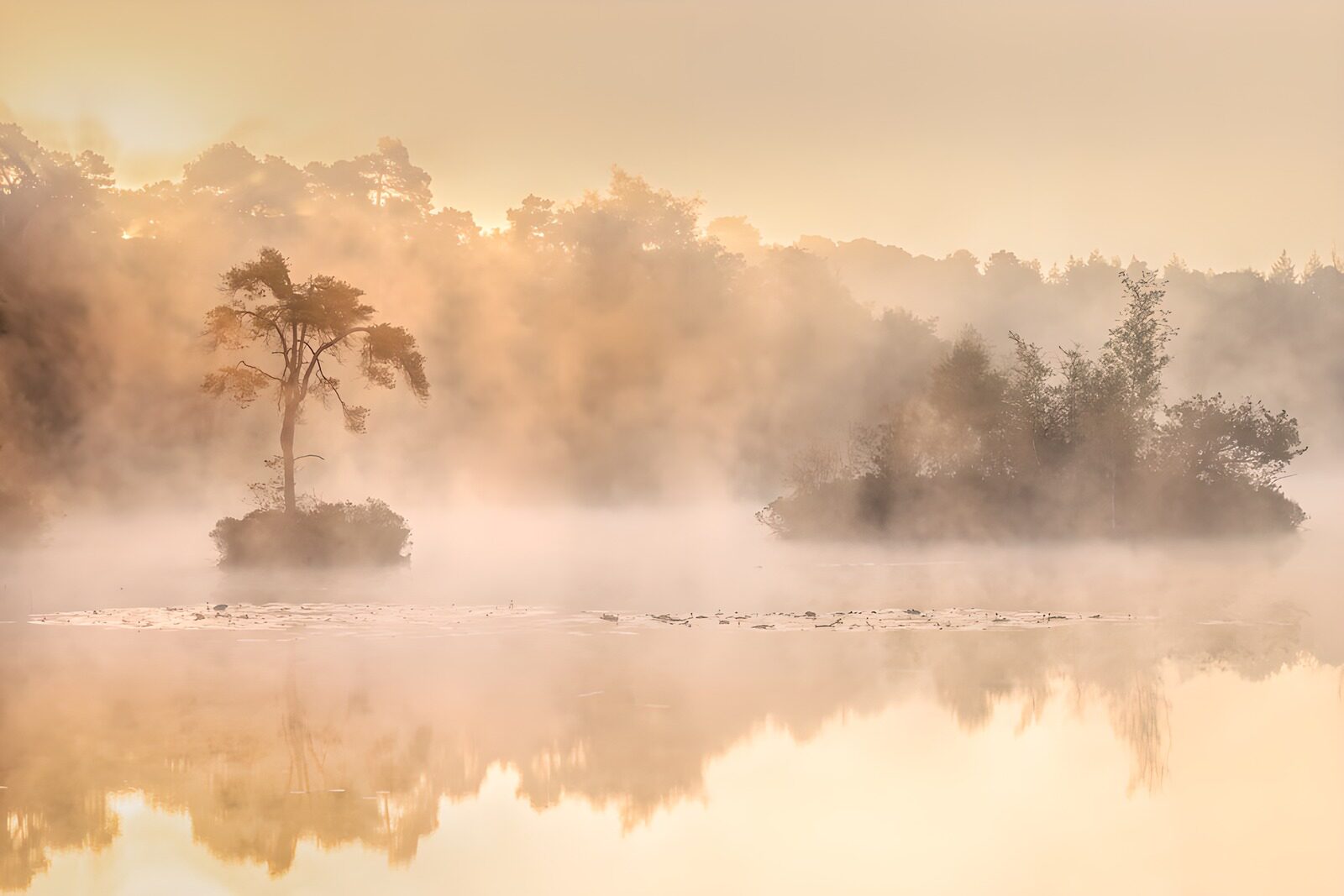 OCUK48527: Misty Morning Serenity