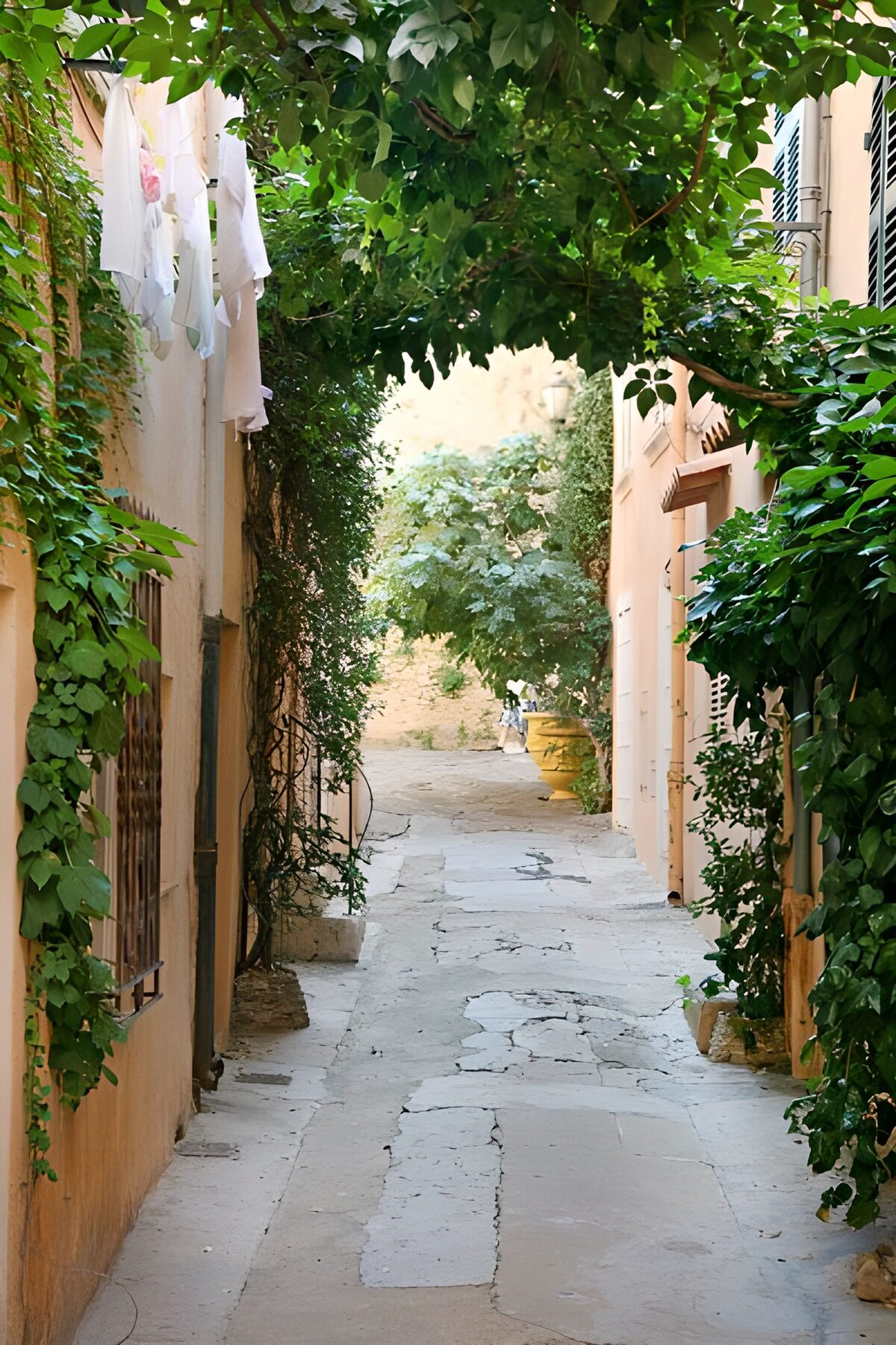 View through Ivy into the lane of the house  with washing on the line outside