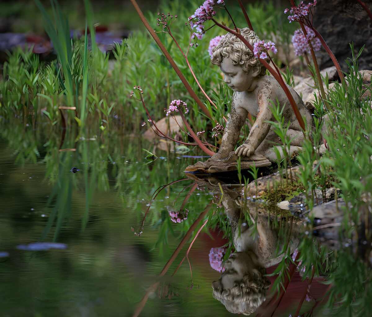 OCUK36642: Silent Reflections by the Pond