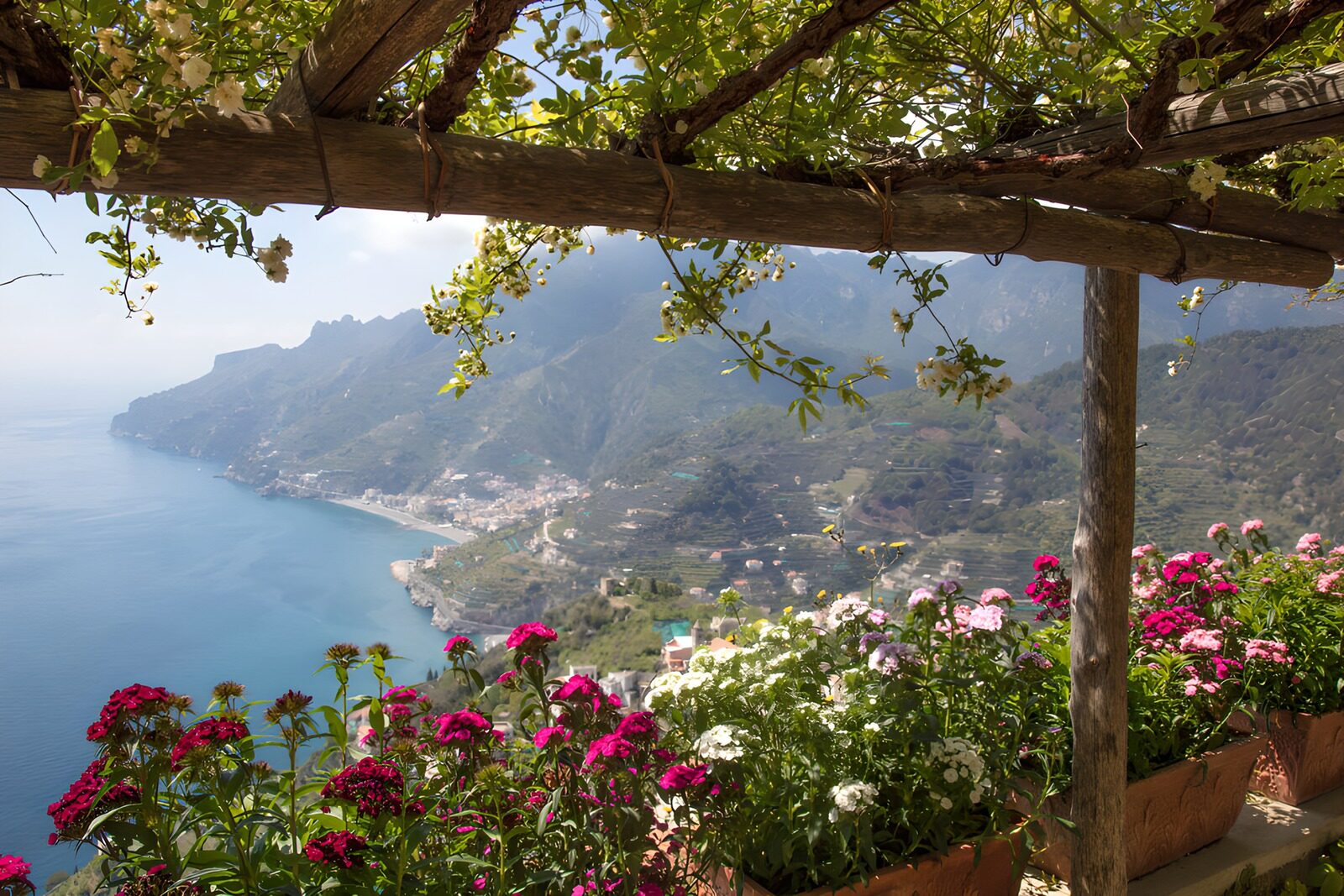 OCUK72690: Coastal View with Blossoming Flowers