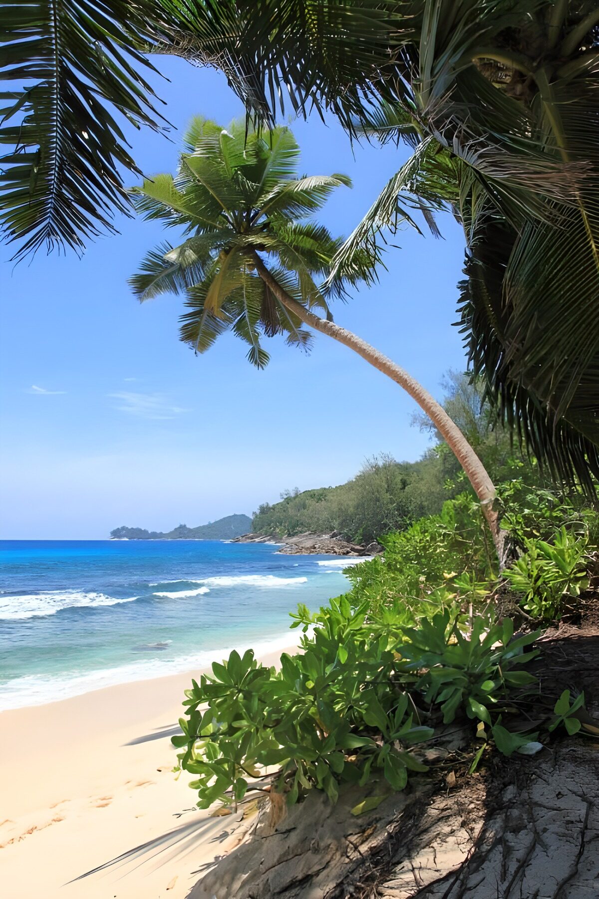 OCUK31527: Serene Tropical Beach Landscape