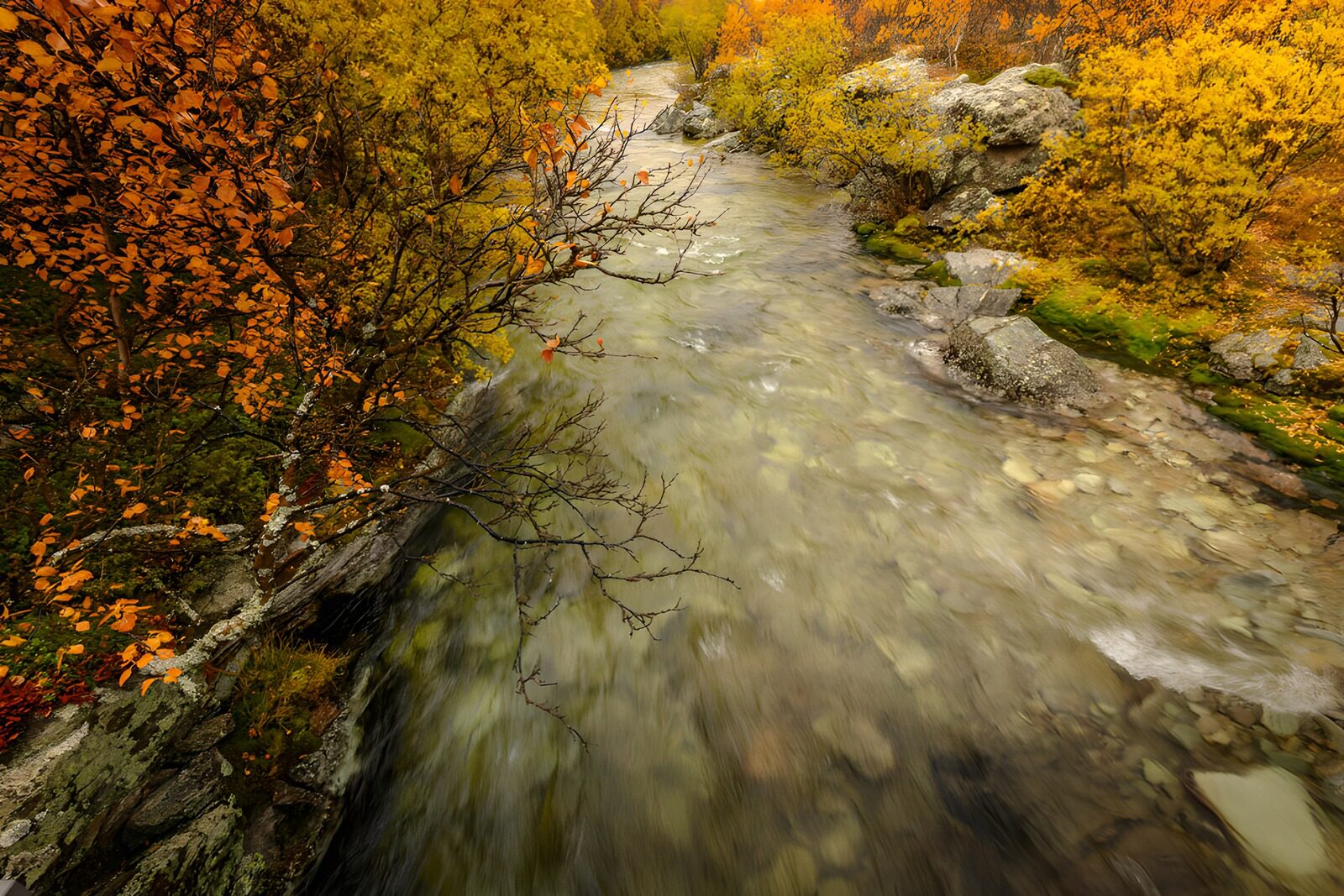 OCUK67581: Autumn Serenity by the River