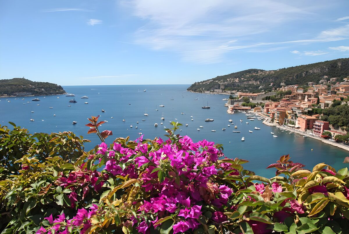 OCUK78698: Serene Coastal View with Blossoms