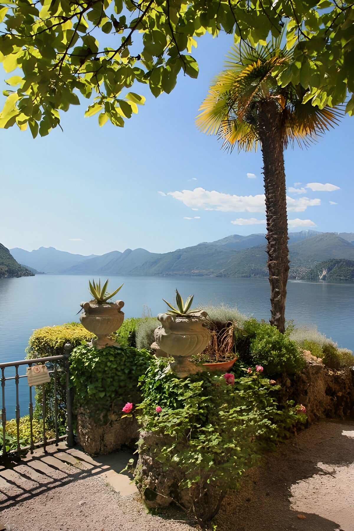 OCUK36726: Serene Lakeside View with Palm Trees