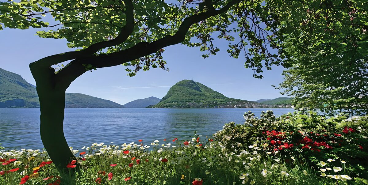 View on lake and mountains with white and red flowers in front