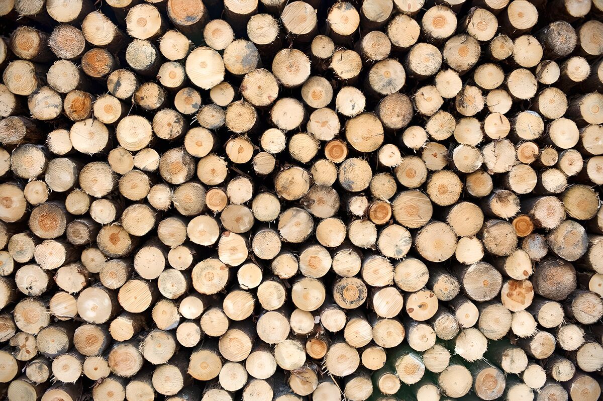 OCUK92467: Pattern of Wood Logs