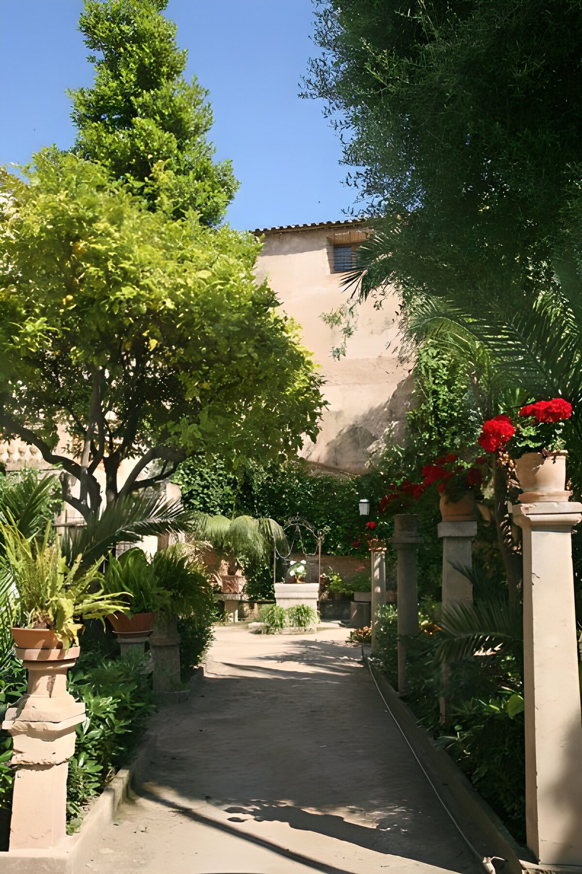 OCUK46440: Drive towards house with plants and trees 1