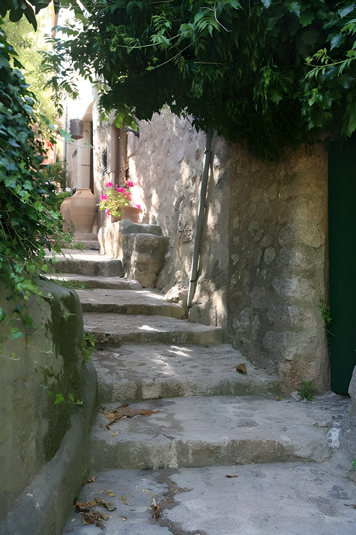 OCUK30655: Small steps running along stone wall with hanging foliage 1