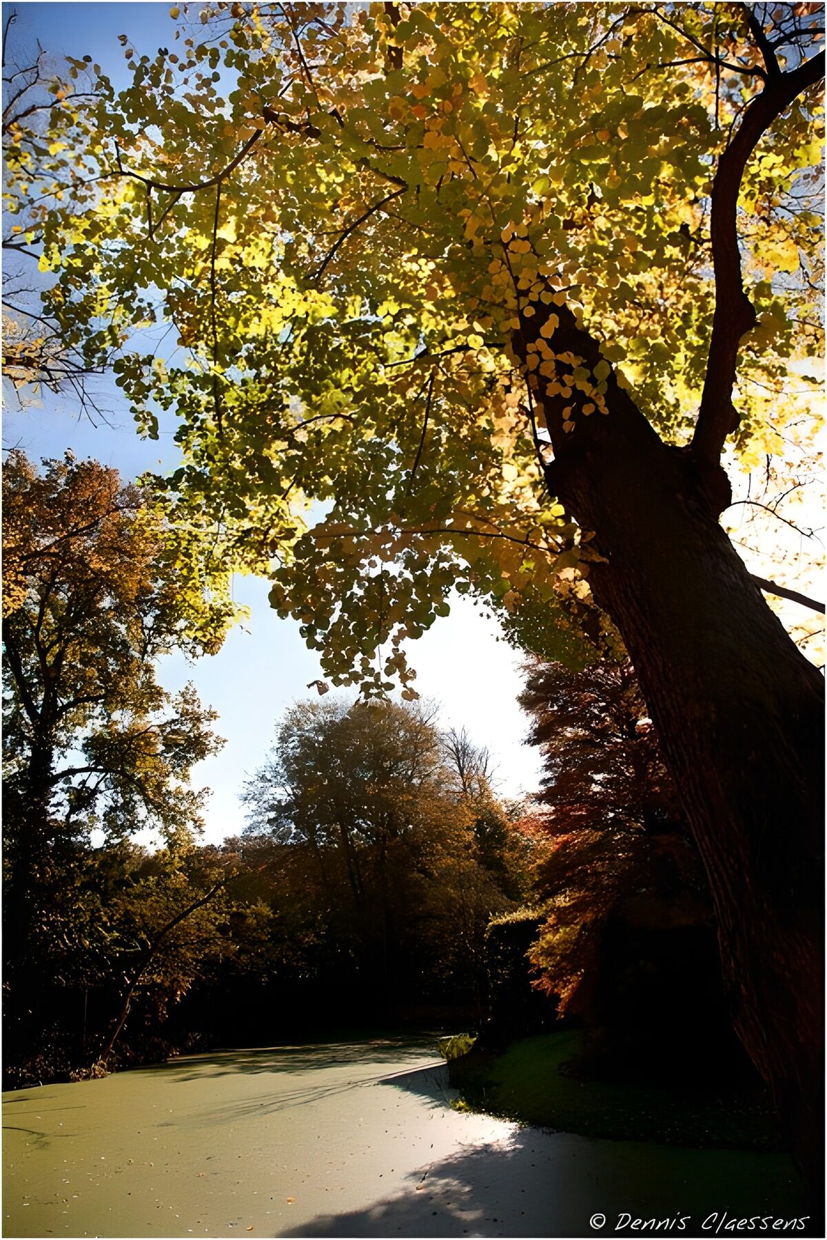 OCUK22601: Tranquil Autumn Reflection