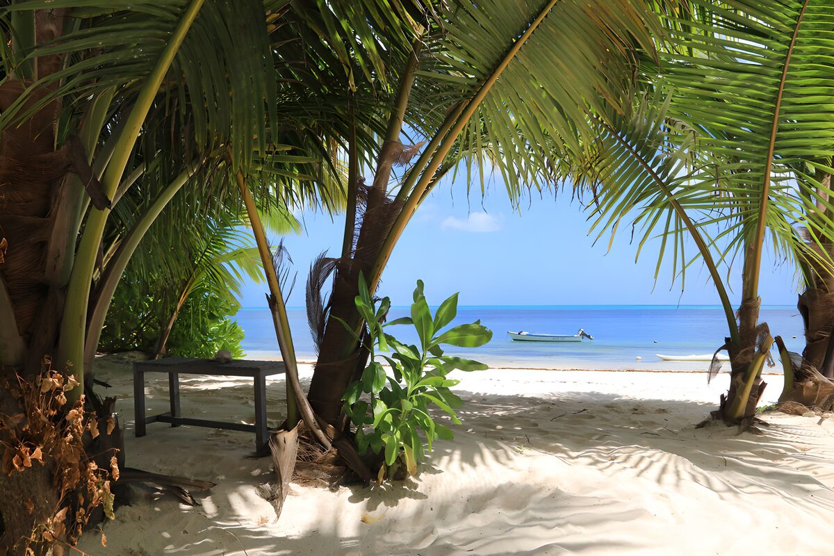 OCUK62809: Tranquil Beach Oasis
