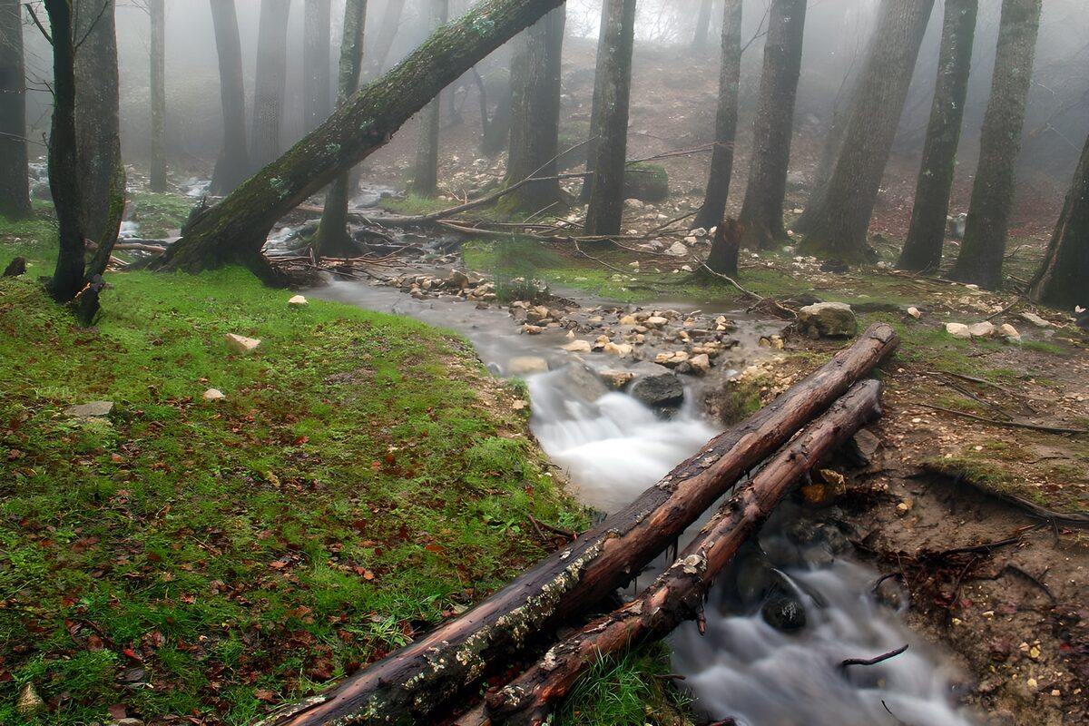 OCUK39111: Misty Forest Stream