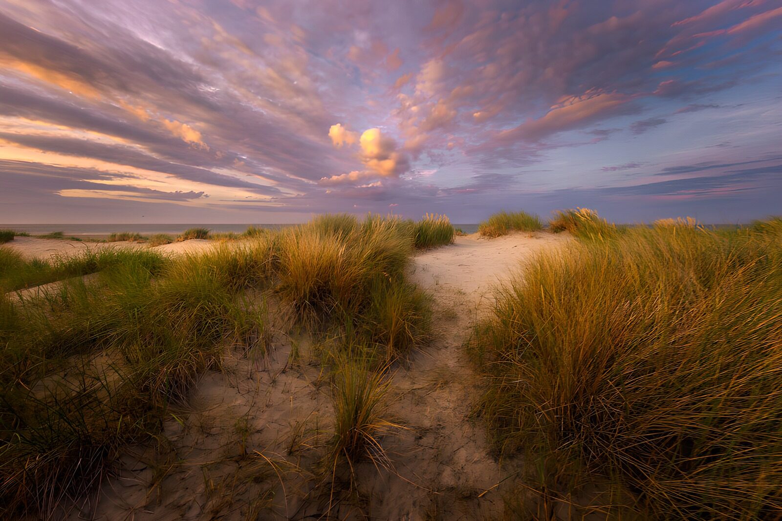 OCUK57994: Serene Dunes at Twilight