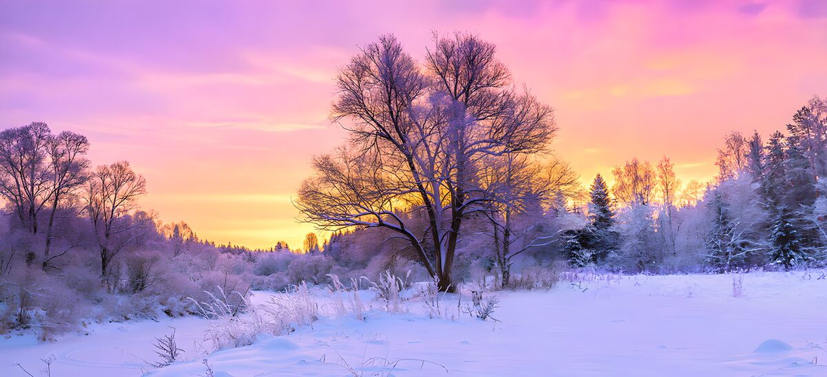OCUK28168: Winter Sunset Serenity