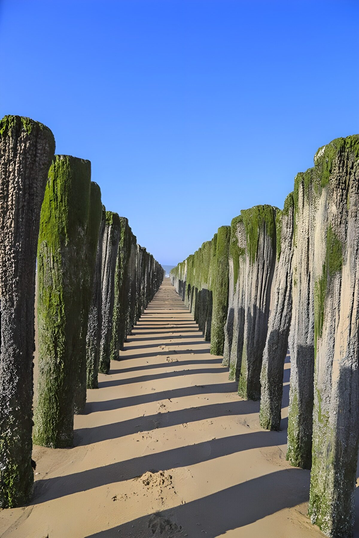 OCUK99991: Seaside Pillars Under Clear Blue Sky