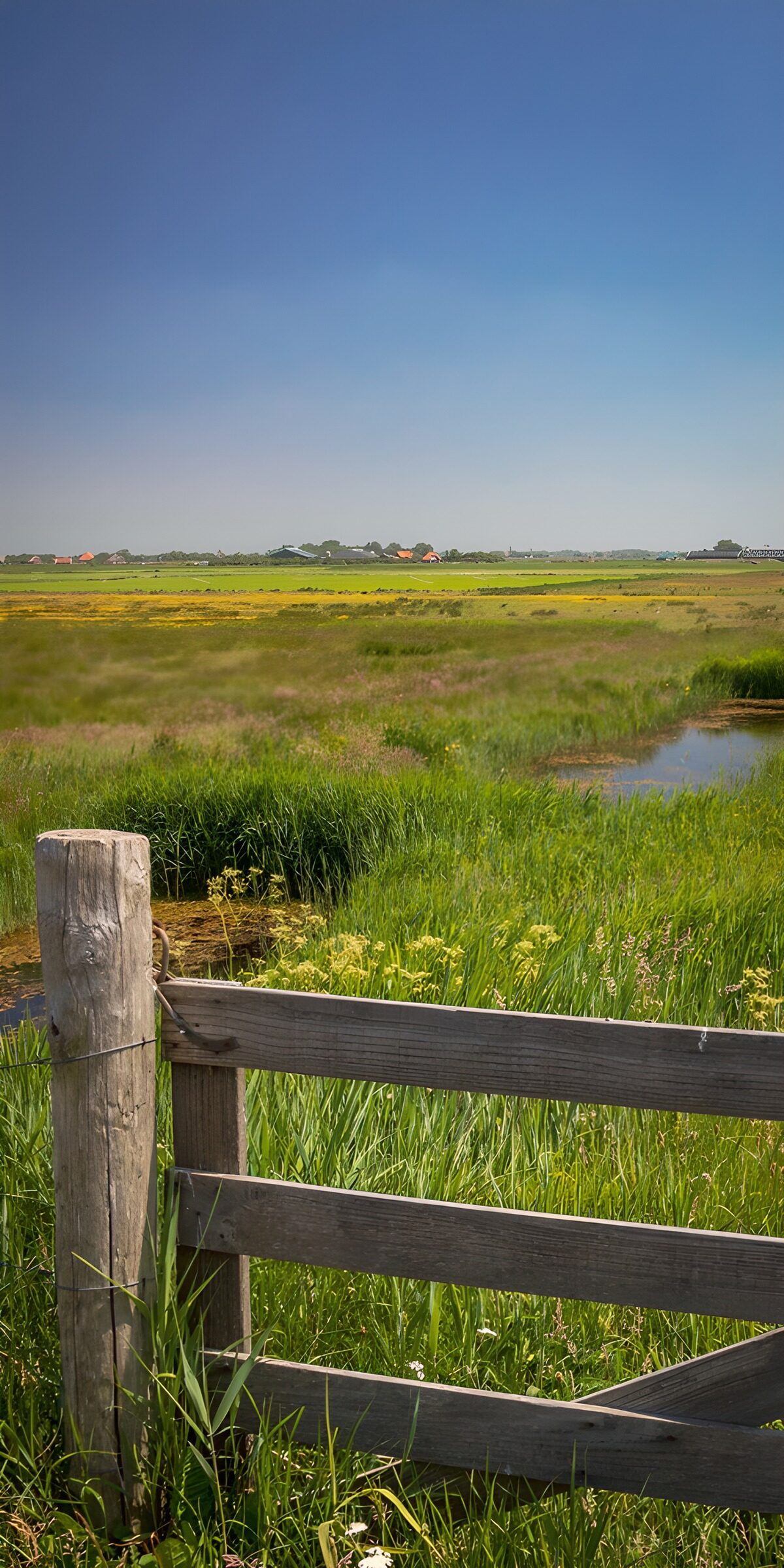 OCUK16523: Serene Meadow with Wooden Gate