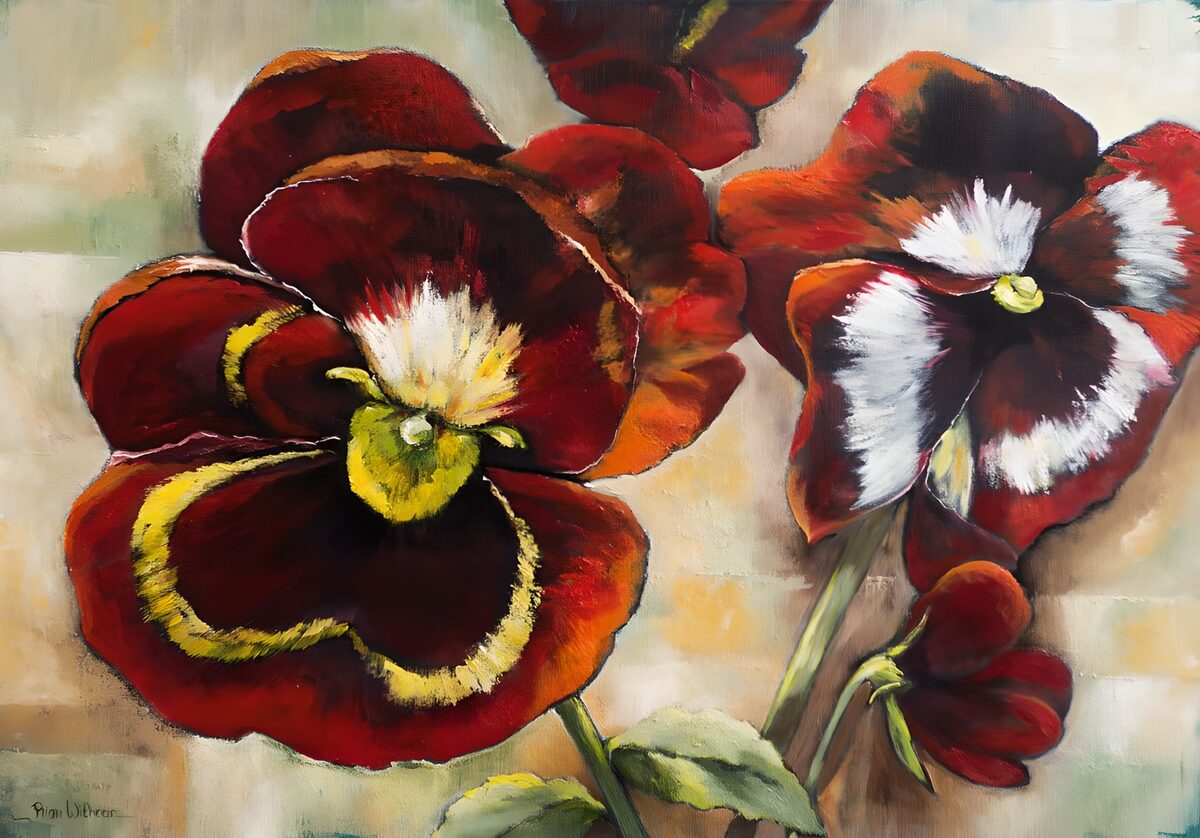 OCUK15760: Vibrant Red Pansies in Bloom