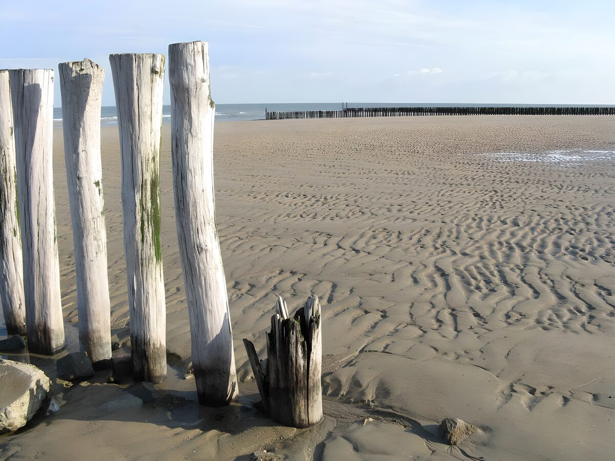 Posts on the beach with a view on the sea