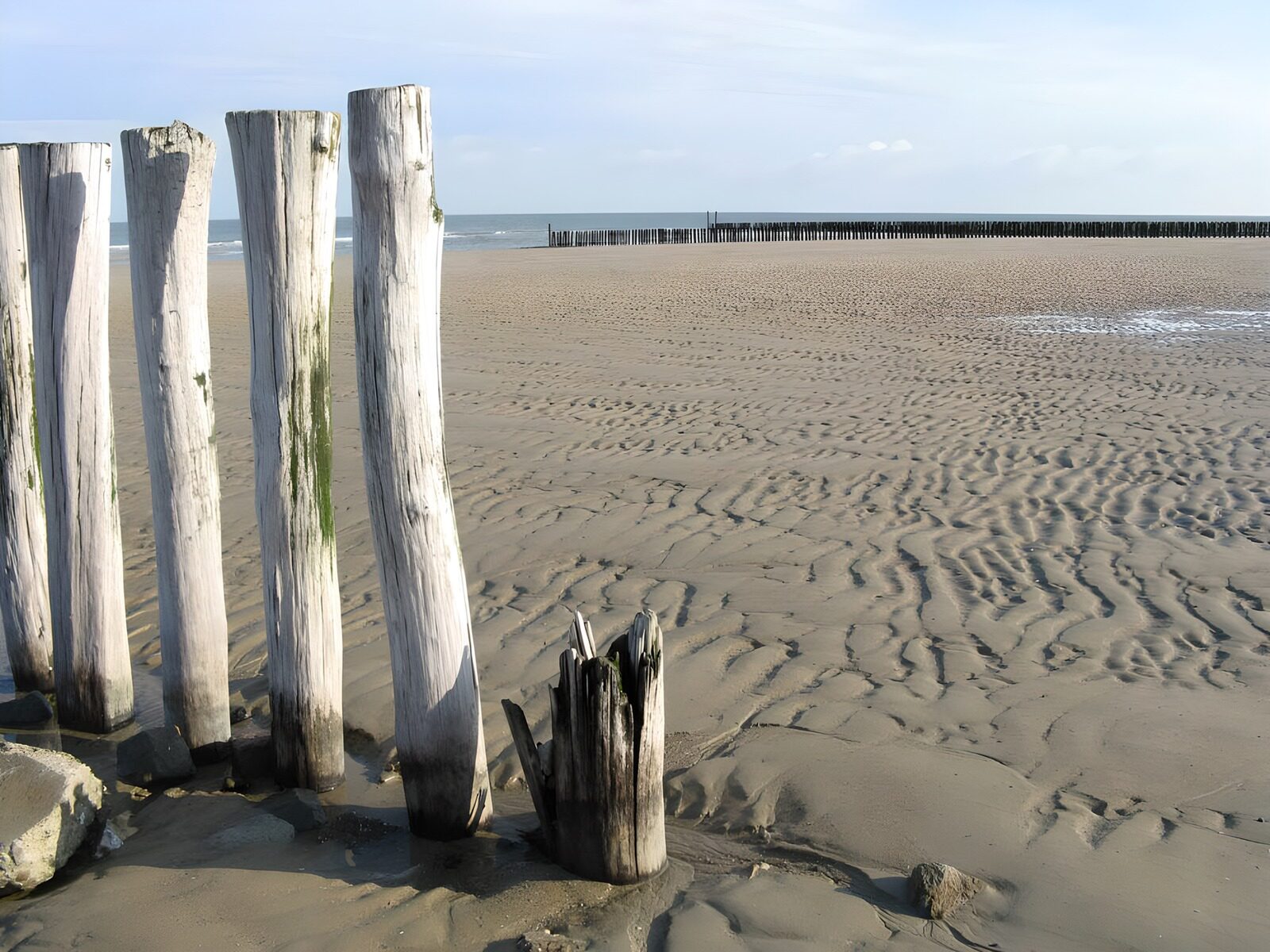 OCUK74038: Posts on the beach with a view on the sea