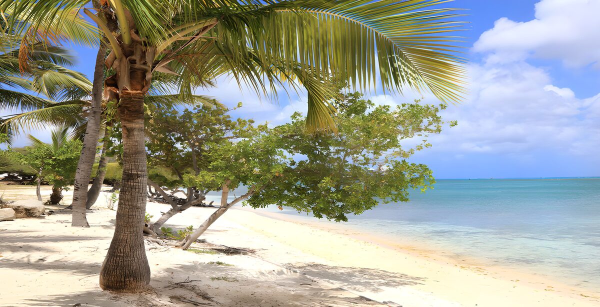 OCUK58831: Tropical Beach Paradise