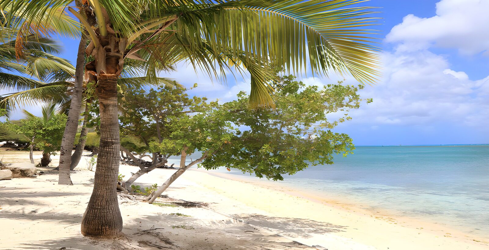 OCUK58831: Tropical Beach Paradise