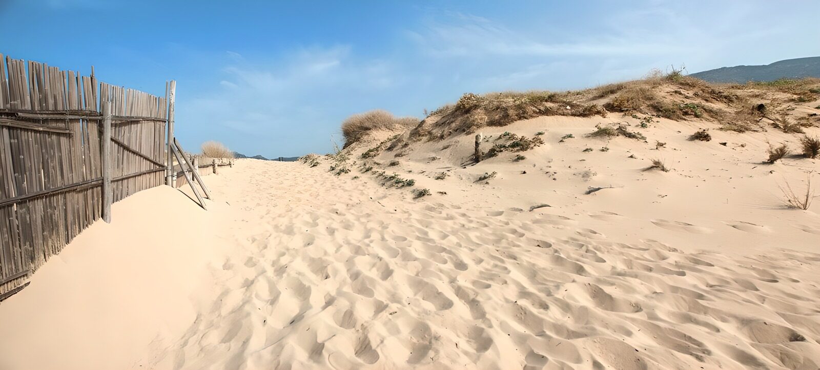 OCUK32334: Sandy Pathway to the Dunes