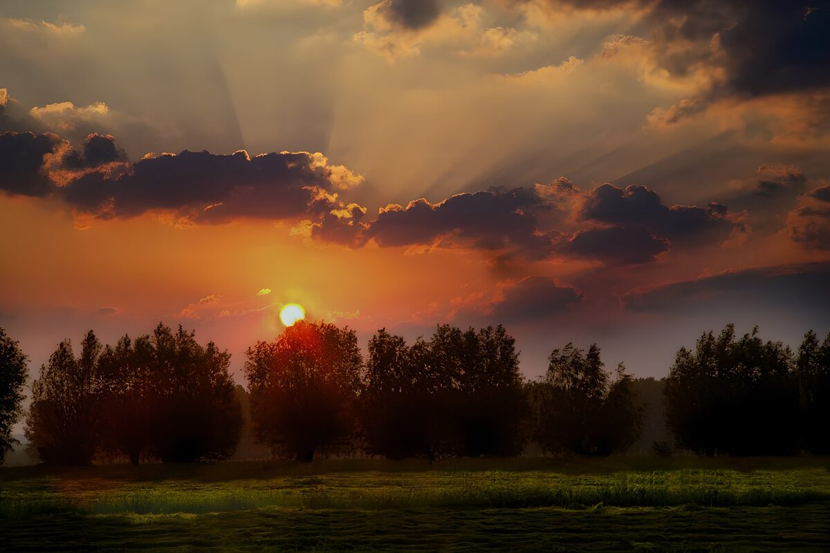 Meadow at sunset with trees and beautiful sky
