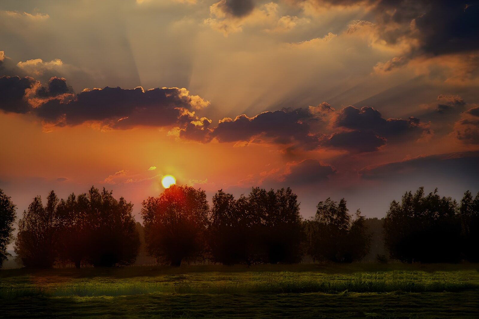 OCUK22423: Meadow at sunset with trees and beautiful sky