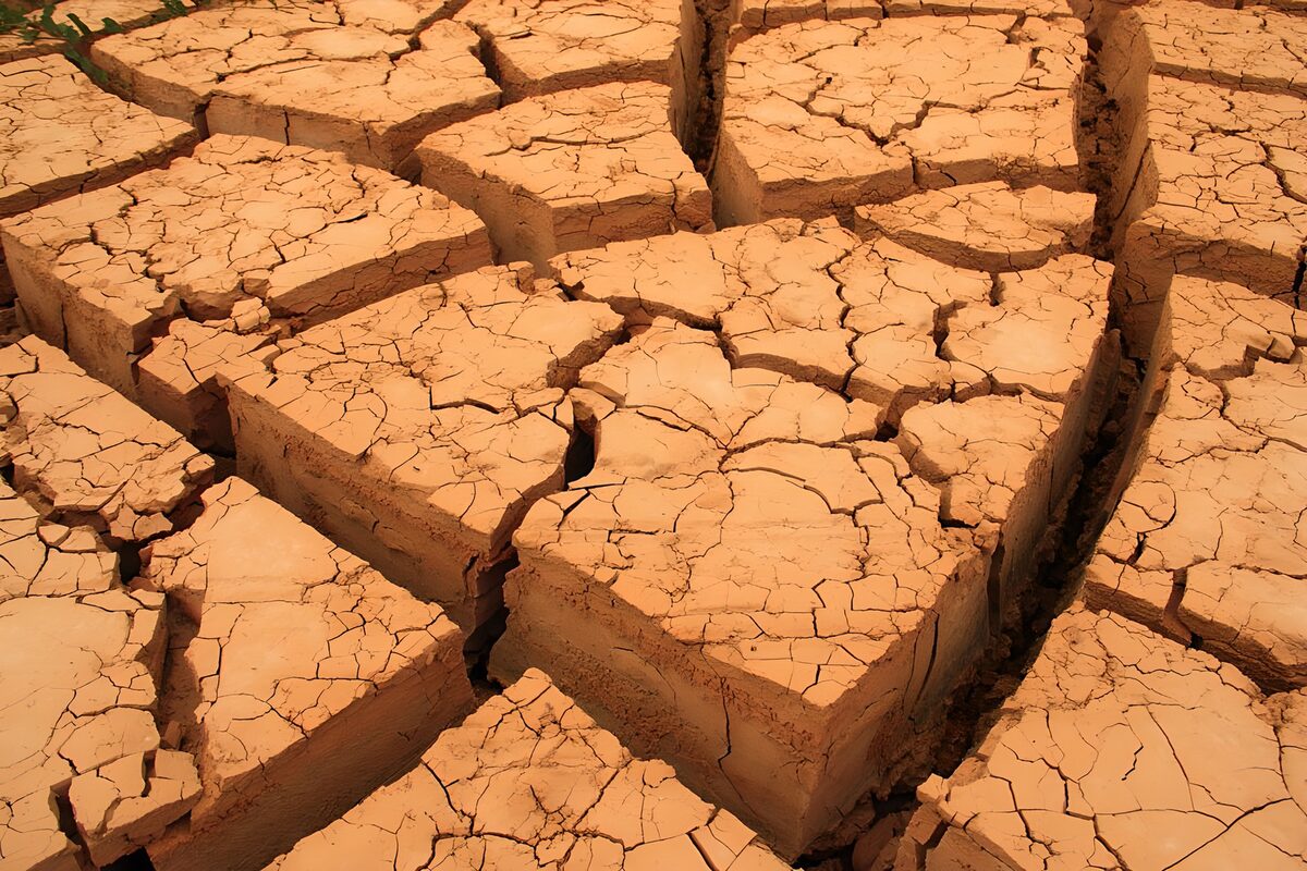 OCUK40749: Desert Cracks: Nature's Dry Mosaic