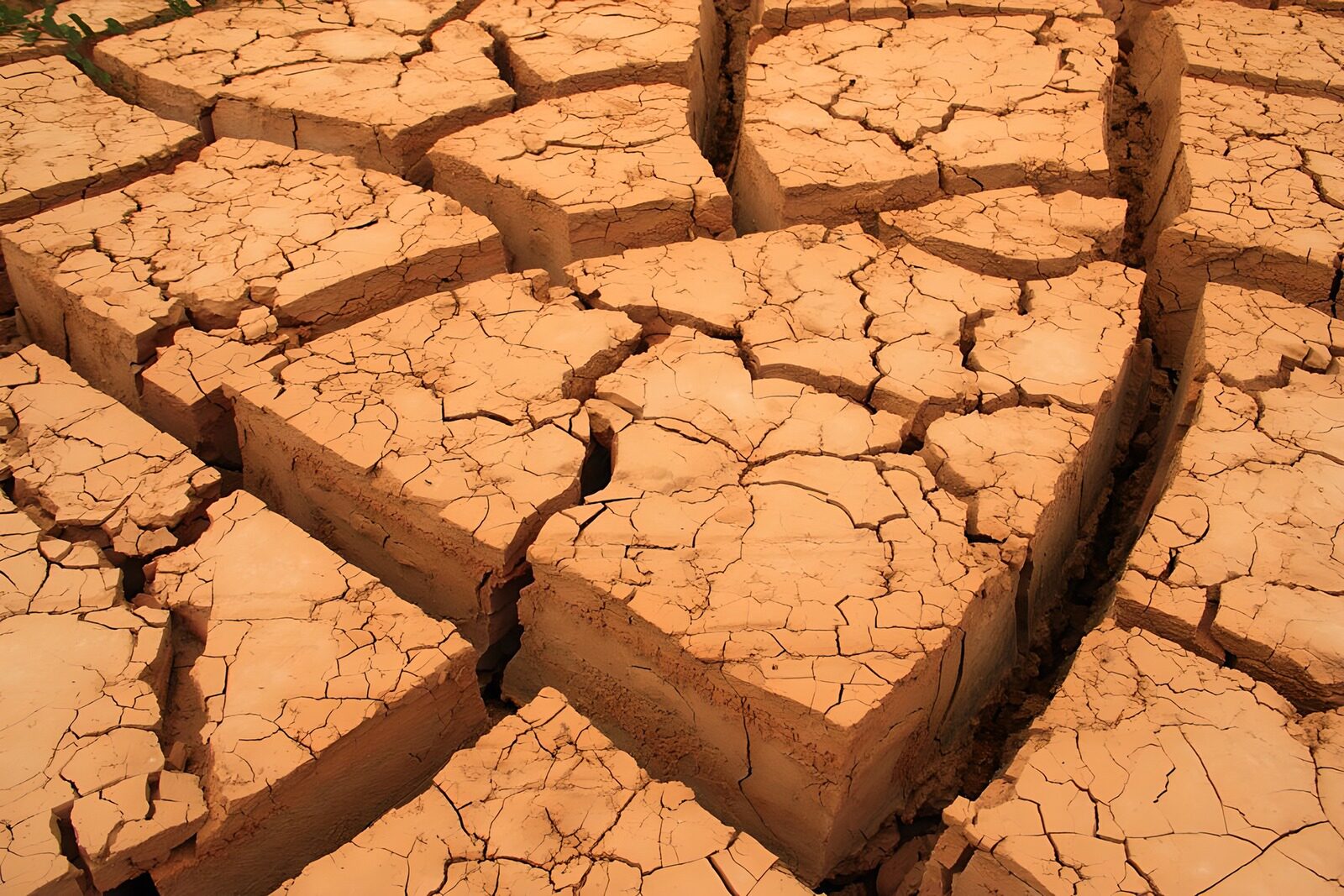 OCUK40749: Desert Cracks: Nature's Dry Mosaic