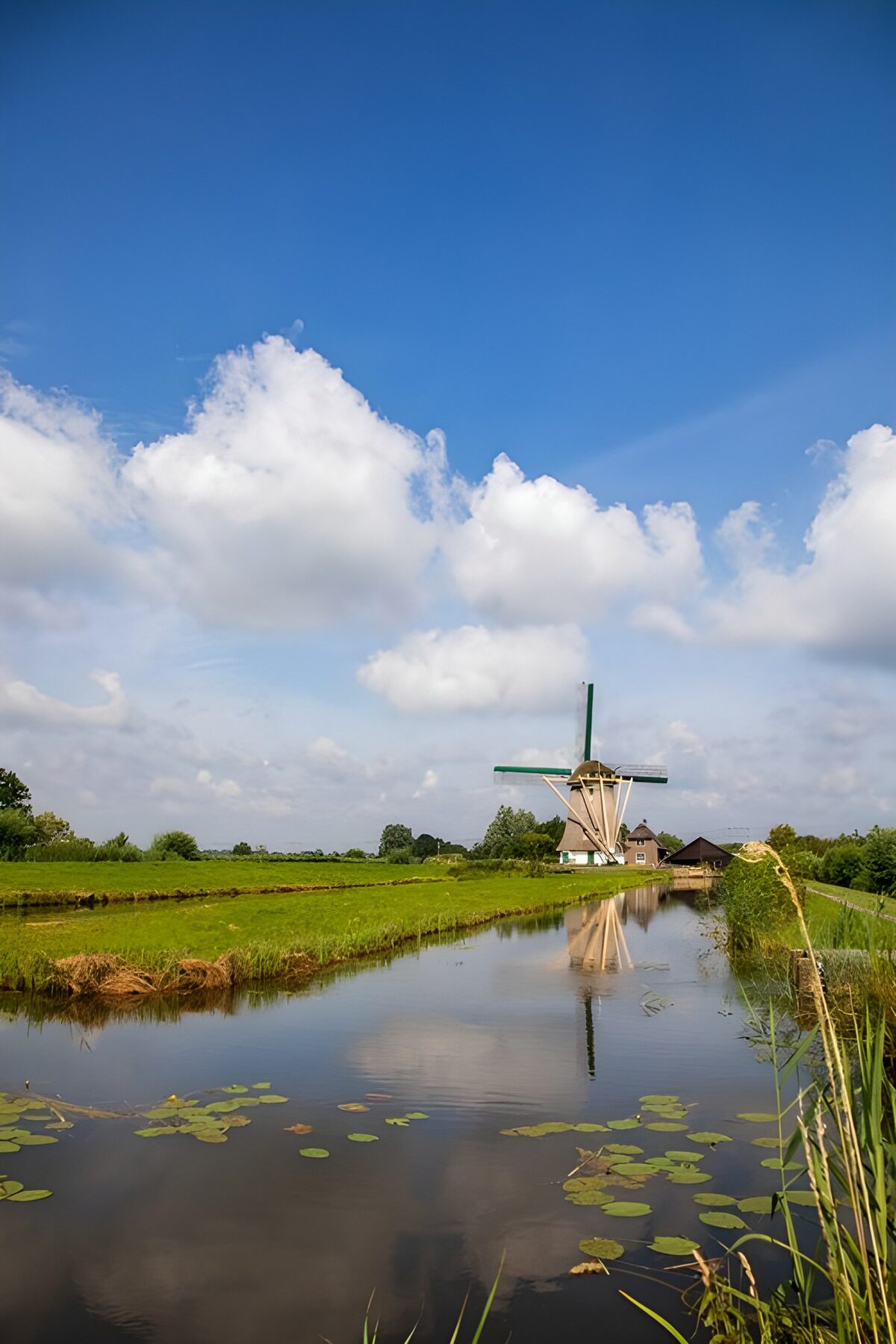 OCUK89125: Peaceful Dutch Countryside with Windmill