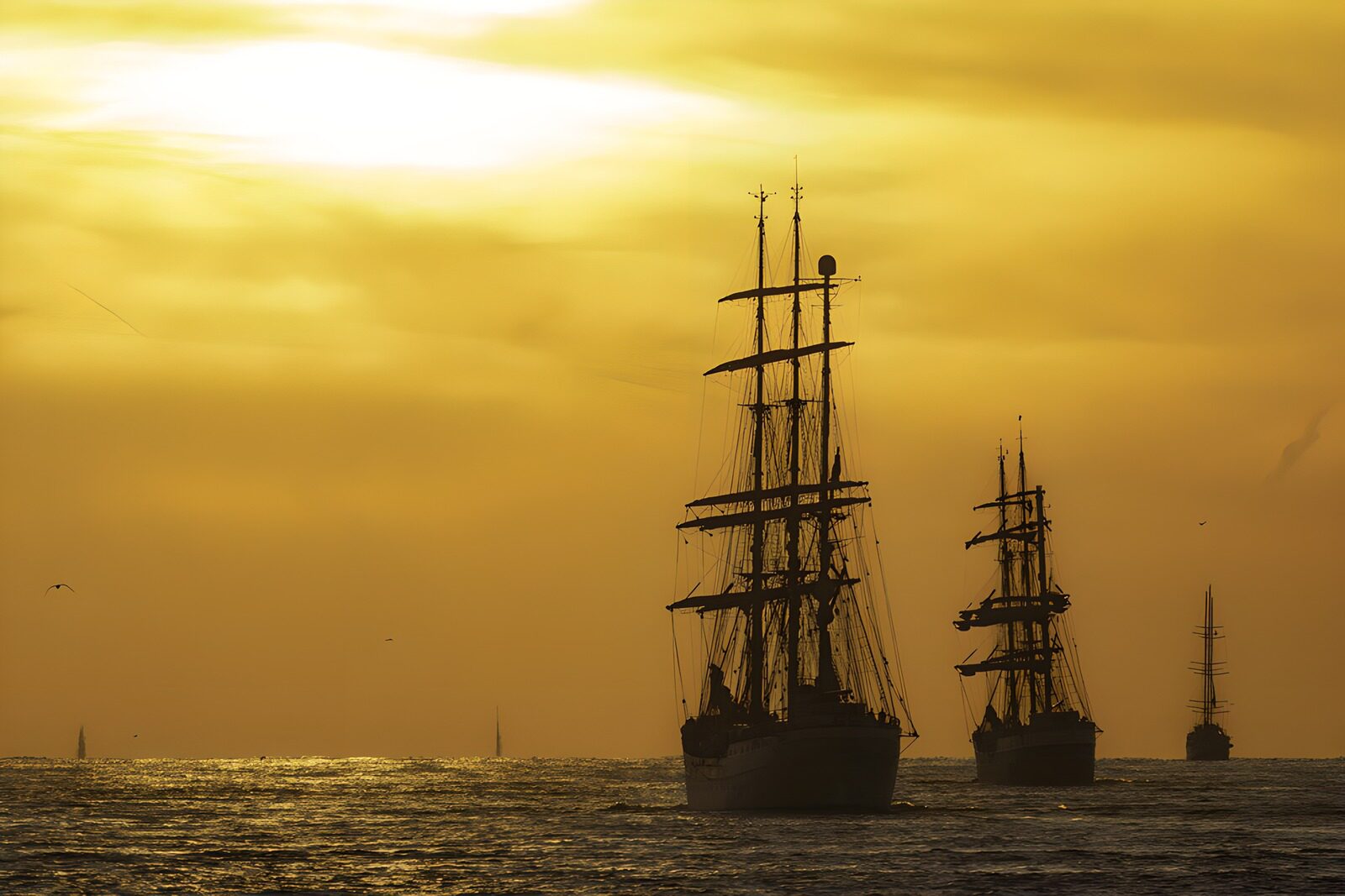 OCUK23835: Sailing Into the Golden Horizon