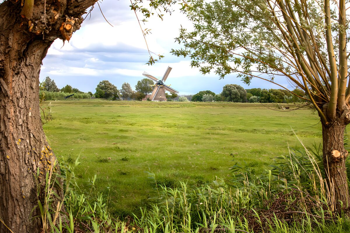 OCUK21657: Classic Windmill Among Lush Green Fields
