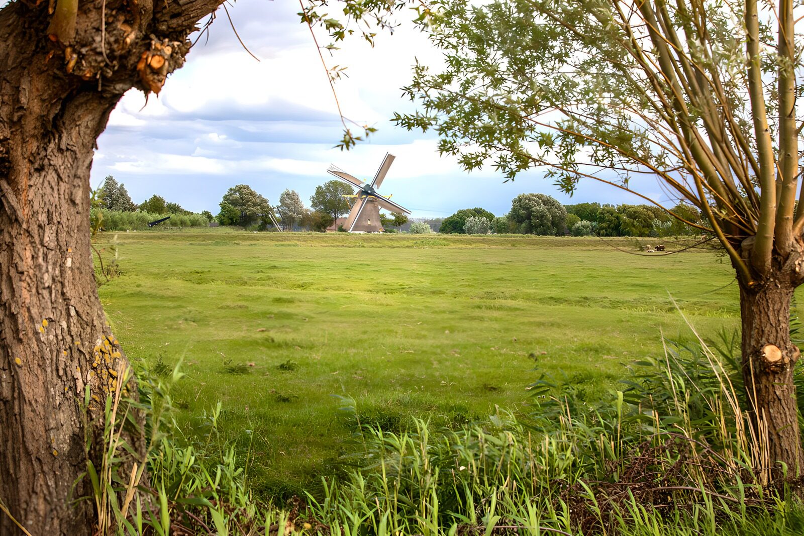 OCUK21657: Classic Windmill Among Lush Green Fields