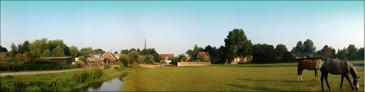 Dutch meadow landscapes 8