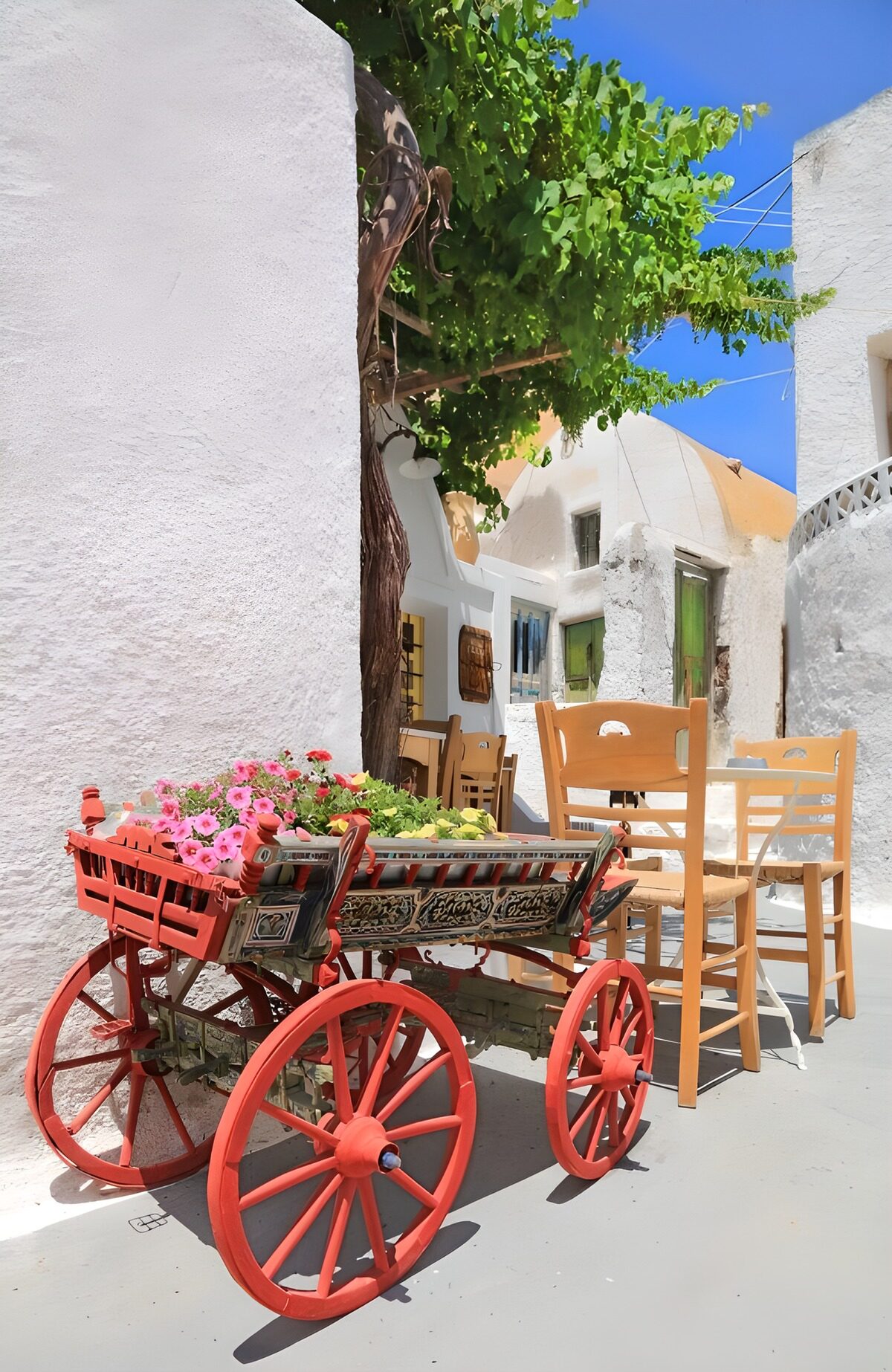 OCUK66700: Charming Flower Cart in a Sunlit Alley