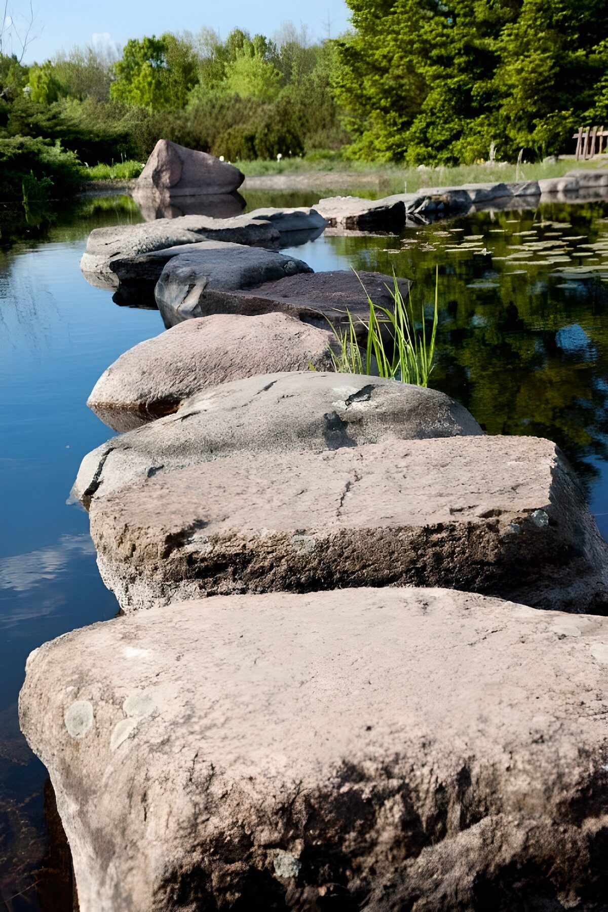 Japanese garden with a pathway of stones in the water 2