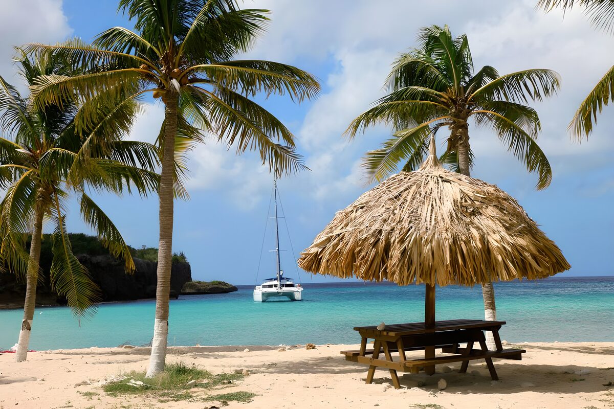 OCUK61103: Palm trees near beach with catamaran