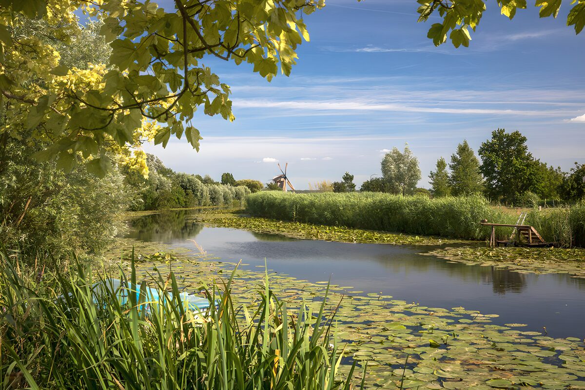 OCUK97825: Tranquil Dutch Waterway in Summer