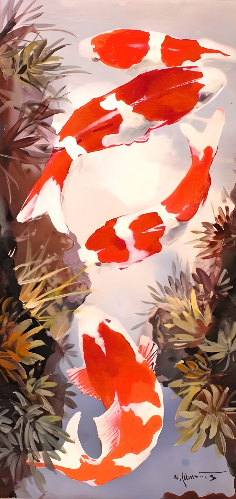OCUK44747: Painted Koi carp 2