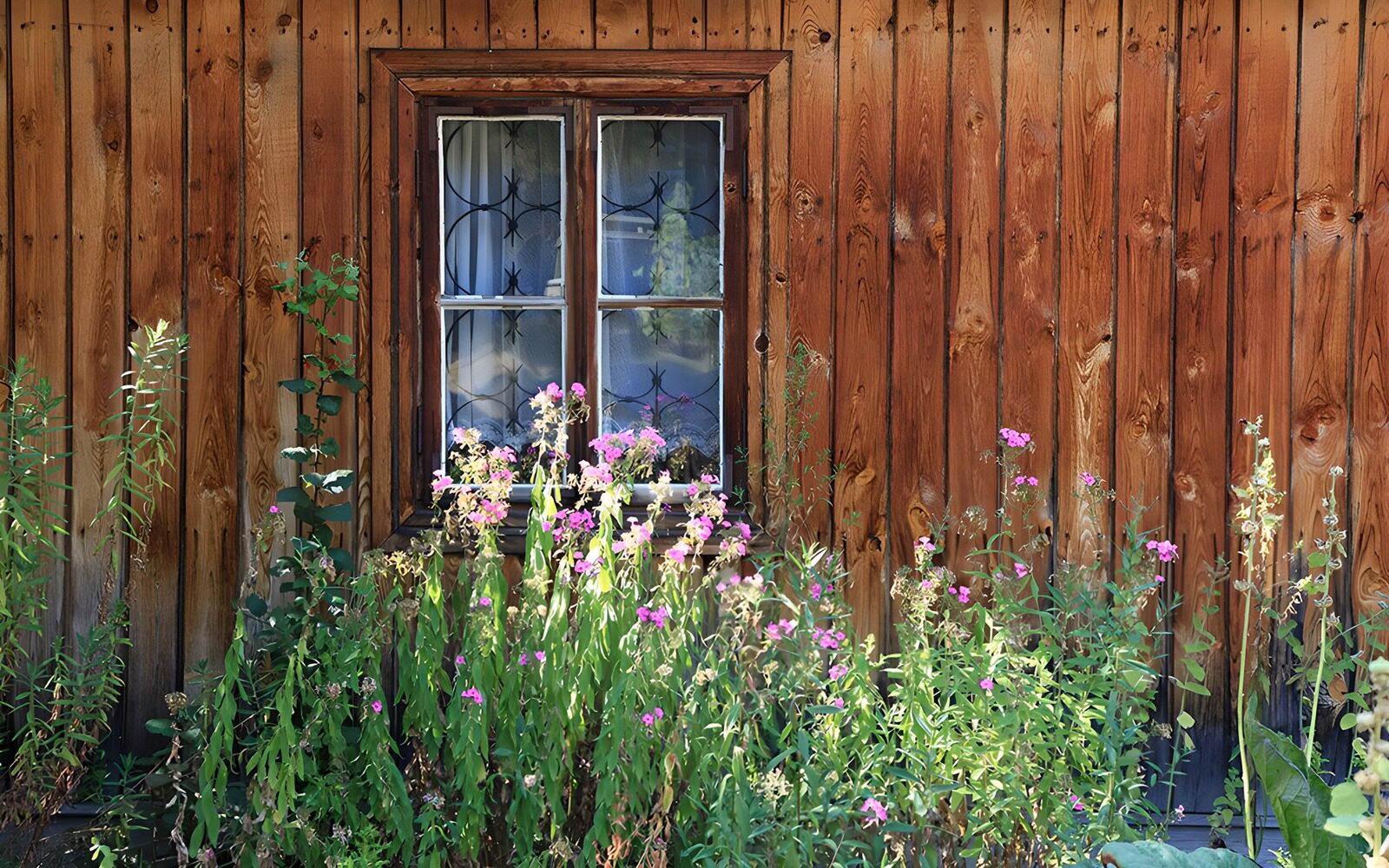 OCUK57040: Rustic Window with Blooming Flowers