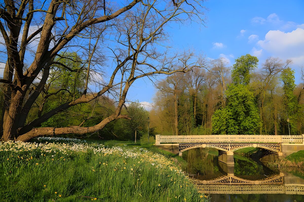 OCUK40157: Bridge mirrored in the water