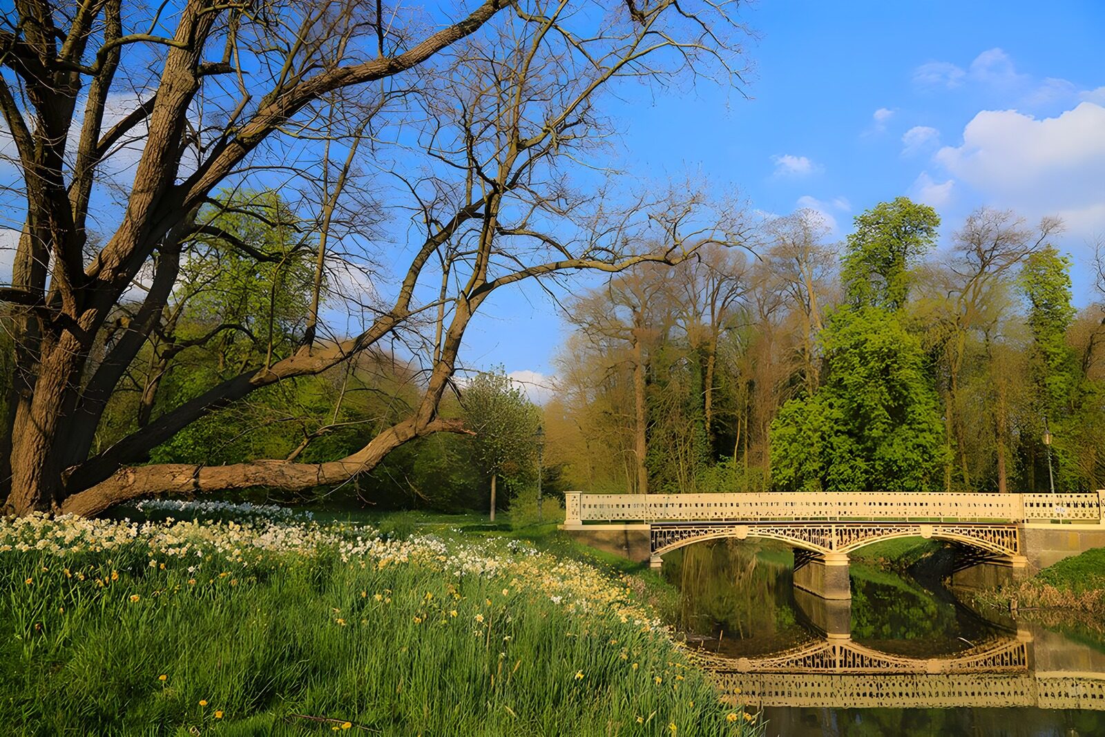 OCUK40157: Bridge mirrored in the water