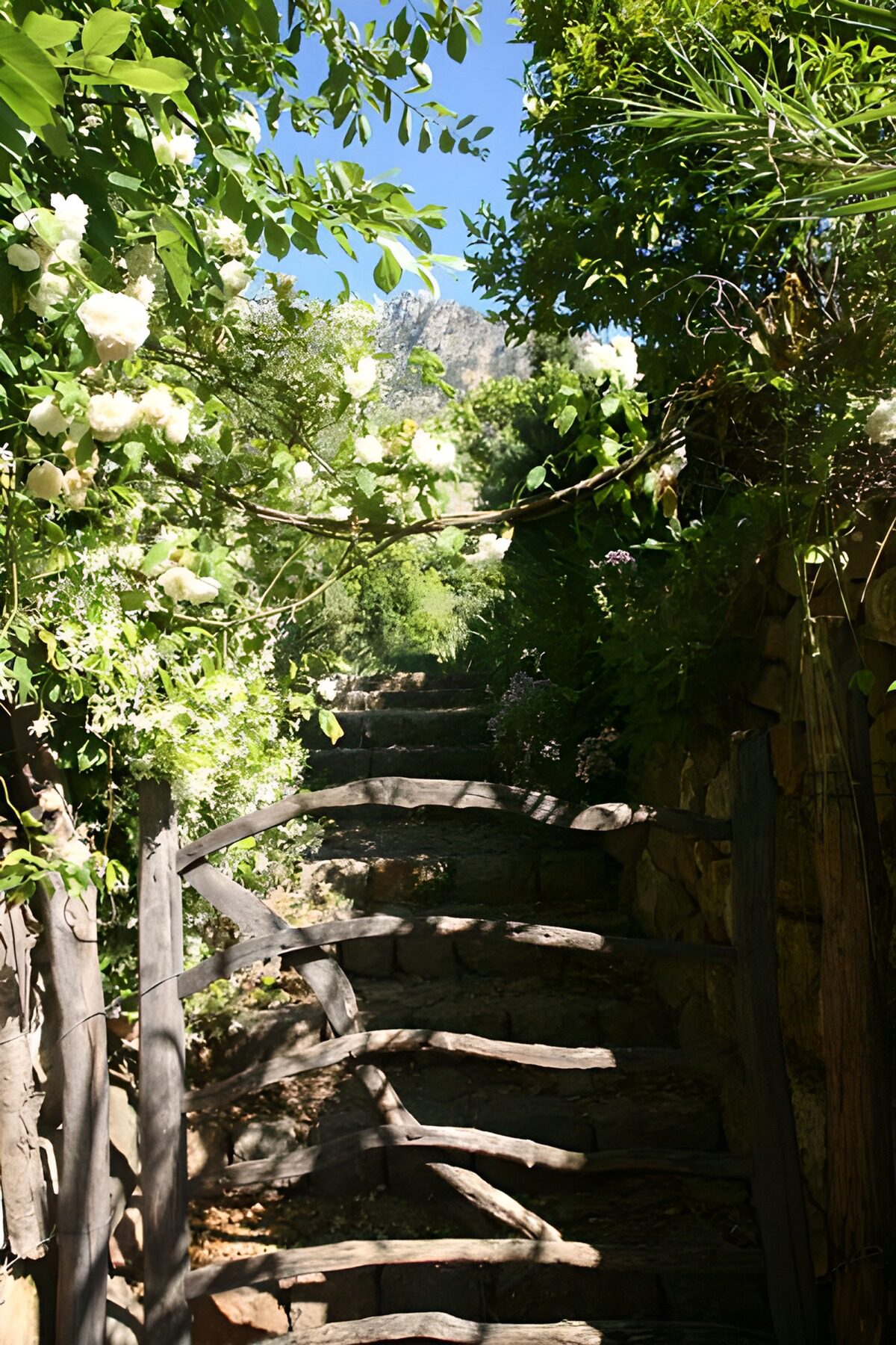 OCUK68075: Gate with ascending steps, hedges