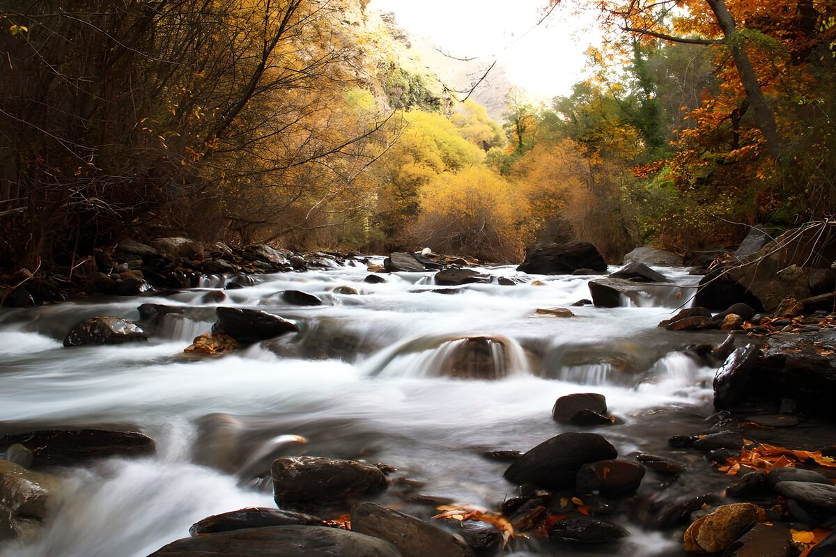 OCUK99416: Serene Autumn River Flow