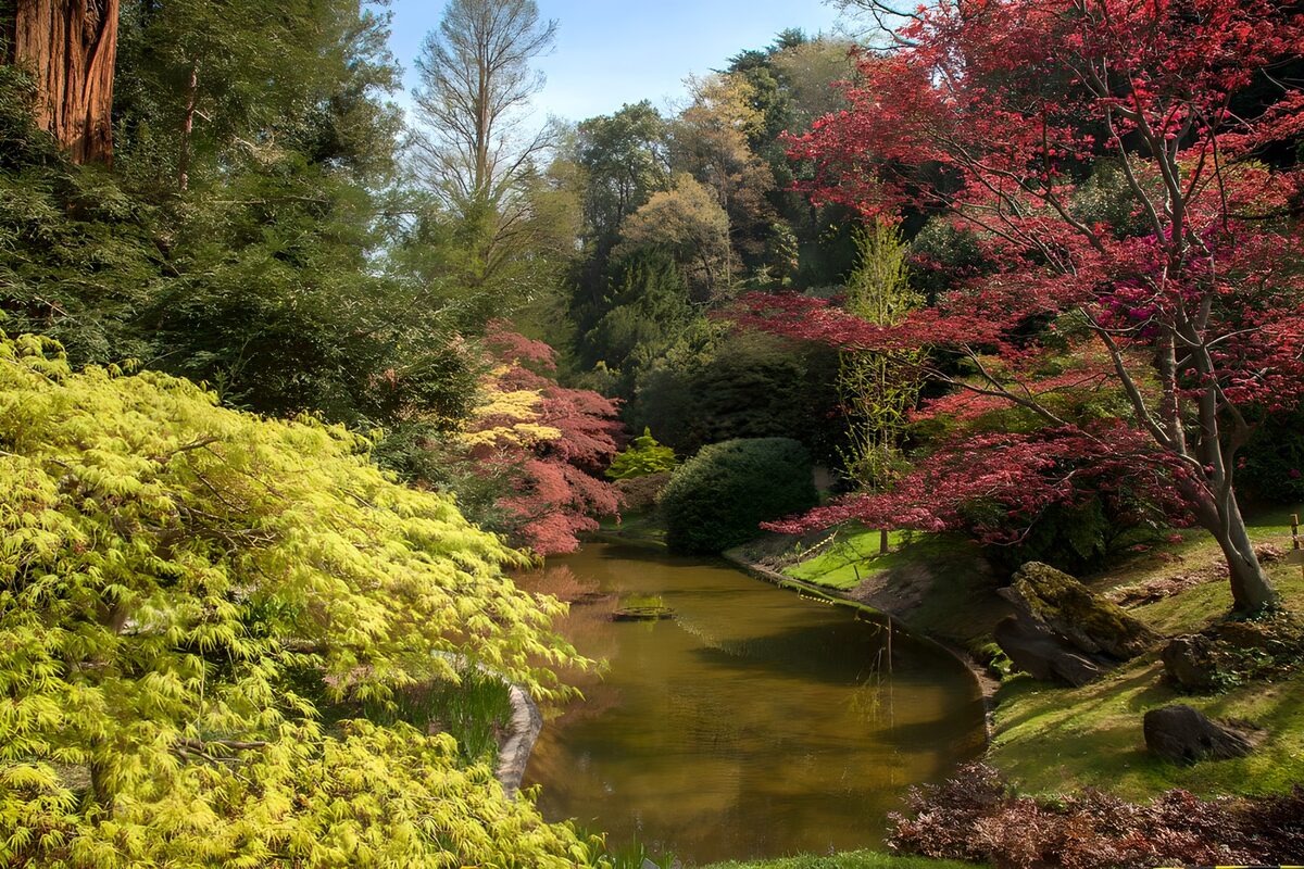 Japanese garden with colourful trees and a pond