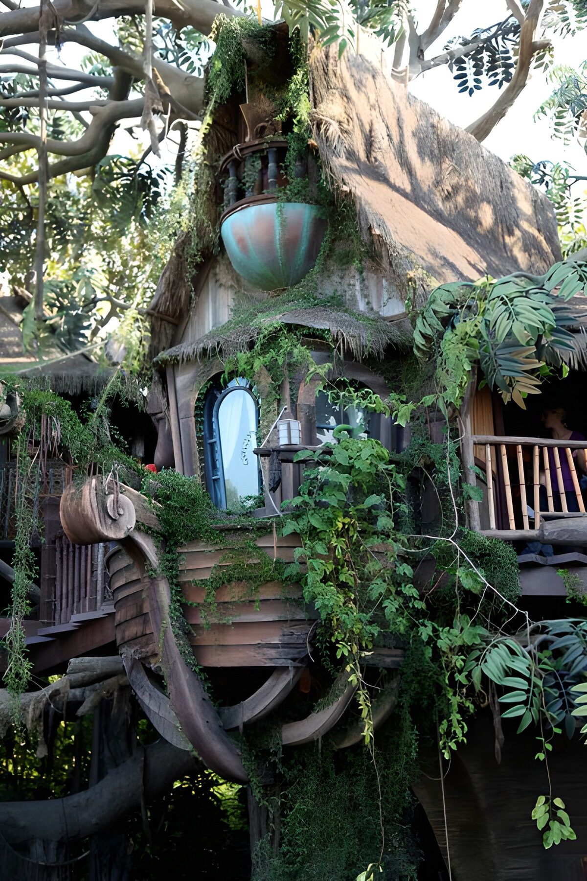 OCUK53007: Close-up fairytale tree hut in jungle with leaf