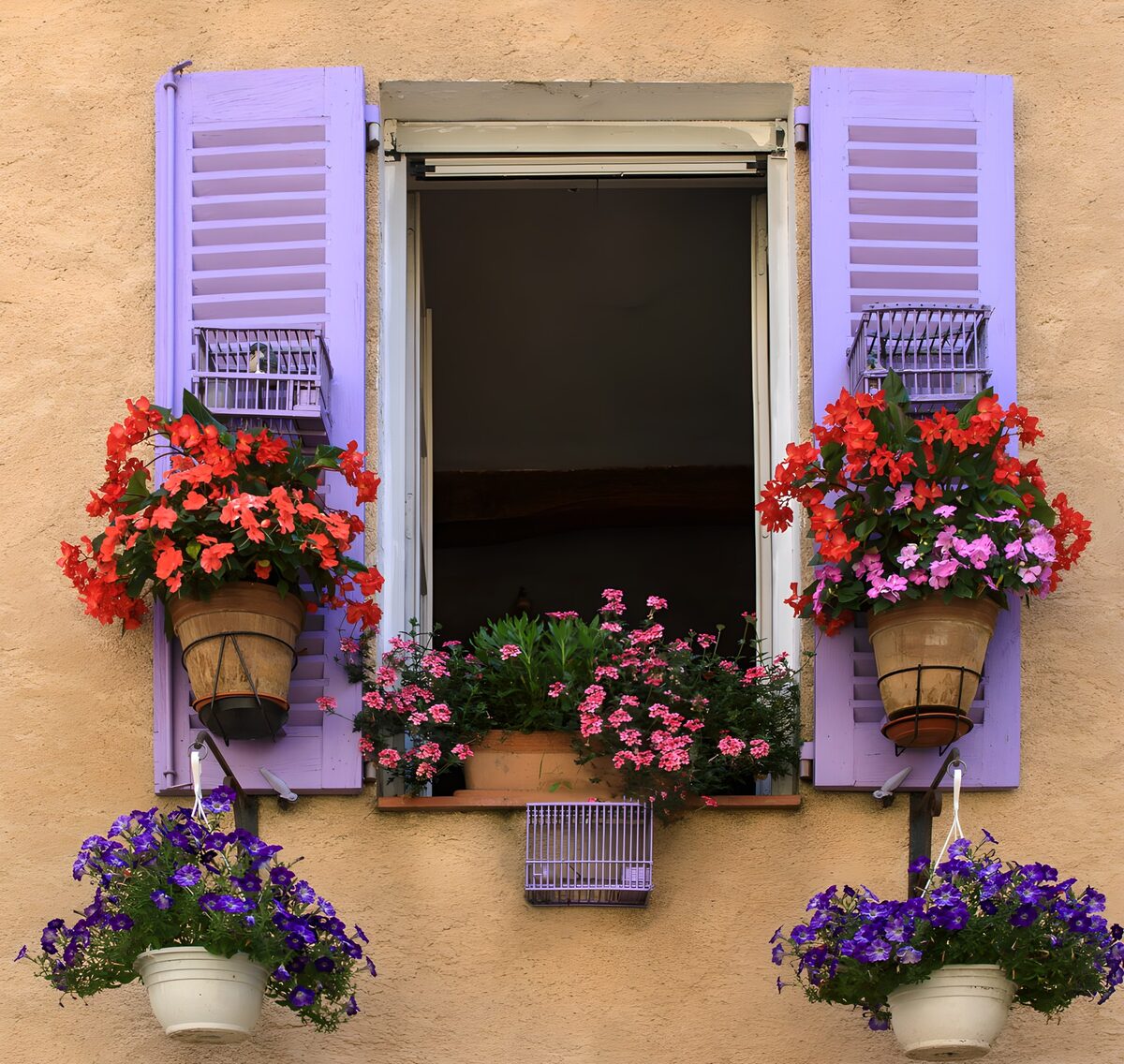 OCUK16123: Colorful Window with Blooming Flowers